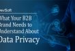 What Your B2B Brand Needs to Understand About Data Privacy